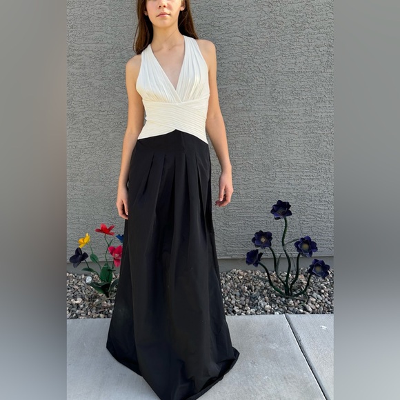 NWT BCBGMaxAzria Gardenia Halter Neck Gown Pleated Cream Crepe & Black Taffeta - Picture 9 of 13